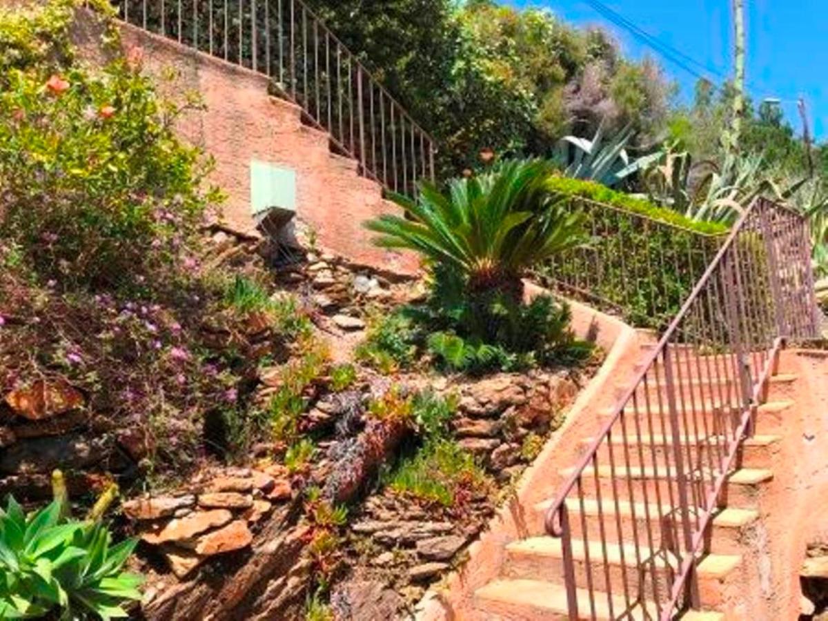 Villa Les Alizes Le Le Rayol-Canadel-sur-Mer Exterior foto