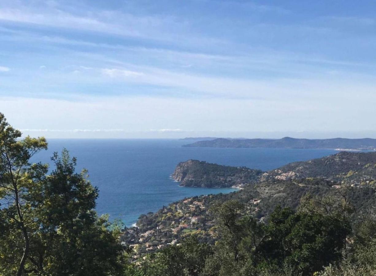 Villa Les Alizes Le Le Rayol-Canadel-sur-Mer Exterior foto