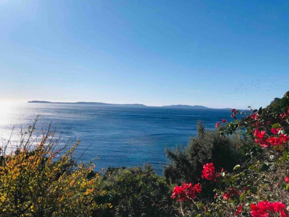 Villa Les Alizes Le Le Rayol-Canadel-sur-Mer Exterior foto