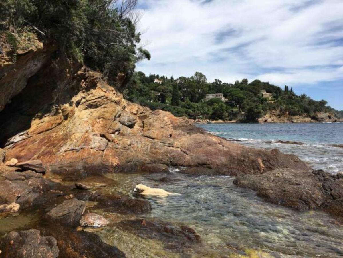 Villa Les Alizes Le Le Rayol-Canadel-sur-Mer Exterior foto