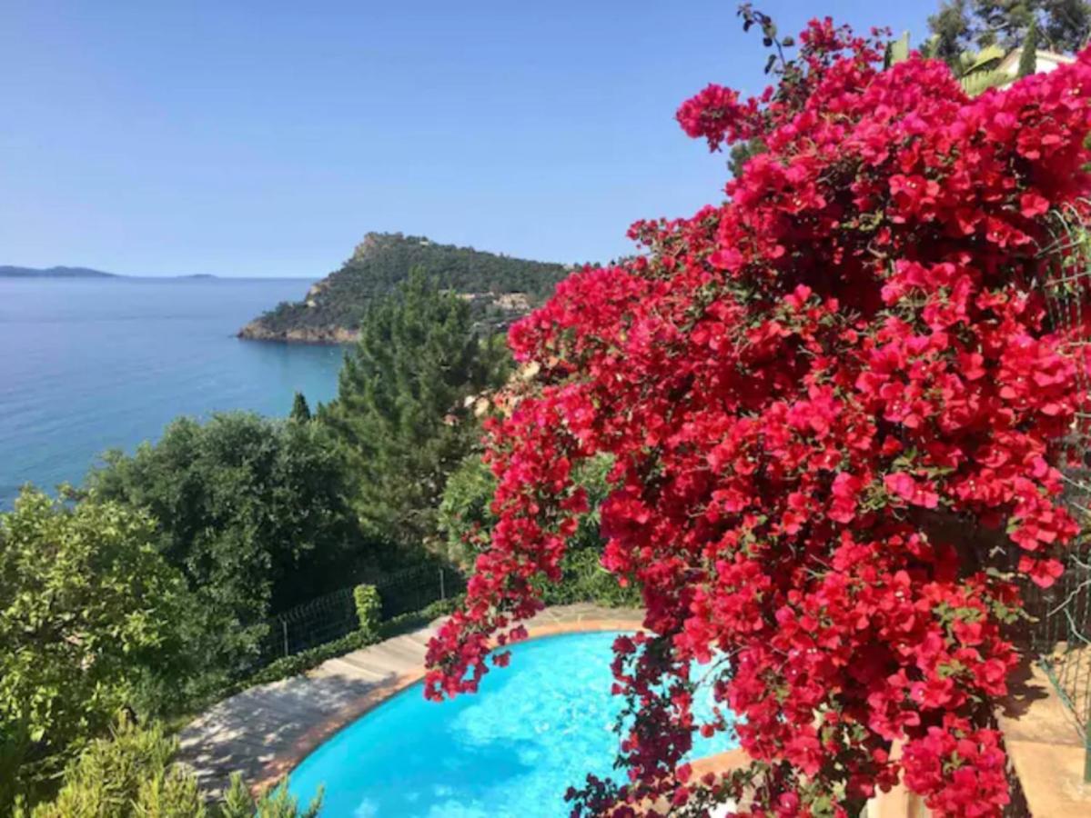 Villa Les Alizes Le Le Rayol-Canadel-sur-Mer Exterior foto