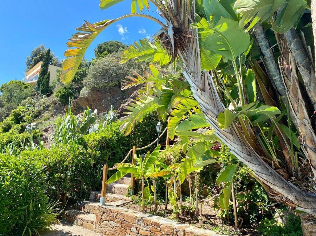 Villa Les Alizes Le Le Rayol-Canadel-sur-Mer Exterior foto