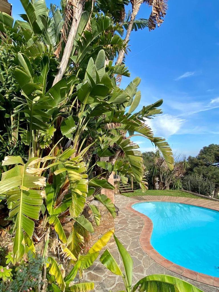 Villa Les Alizes Le Le Rayol-Canadel-sur-Mer Exterior foto
