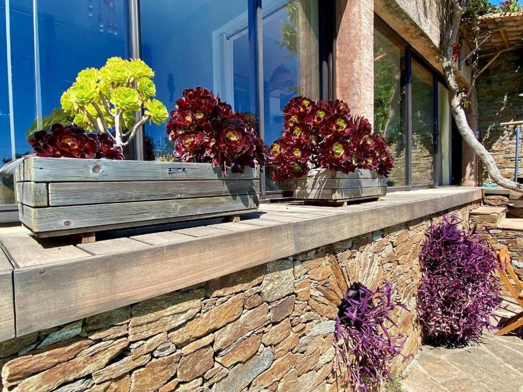 Villa Les Alizes Le Le Rayol-Canadel-sur-Mer Exterior foto